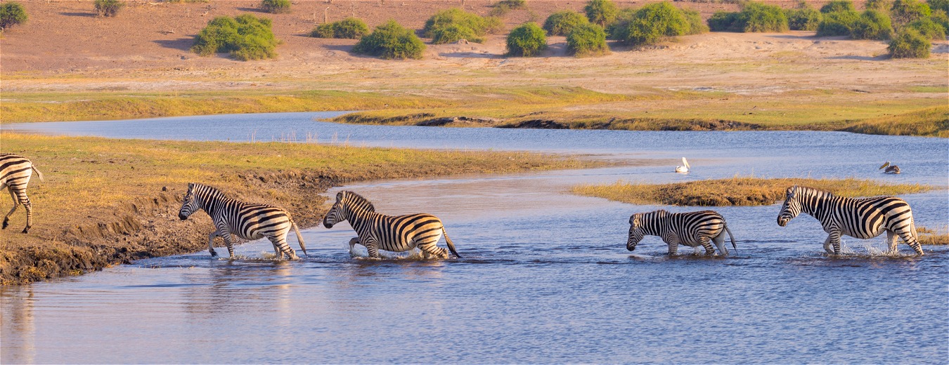 Parque Nacional De Chobe